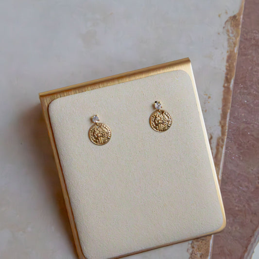 Boucles d'oreilles pendantes en forme de pièce de monnaie CZ